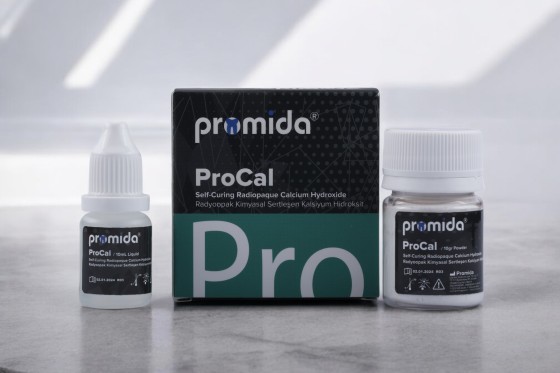 PROCAL - RADIOOPAQUE CALCIUM HYDROXIDE